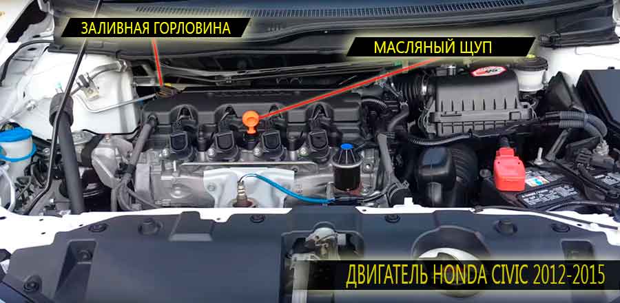 Расположение масляного щупа и заливной горловины на двигателе Honda Civic